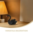thumbnail image 3 of unbranded Negro De Cisne Para Piscina Para, 3 of 6