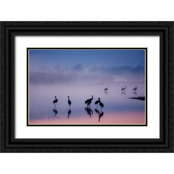 Meizner 14x10 Black Ornate Wood Framed with Double Matting Museum Art Print Titled - Enchanted Serenity