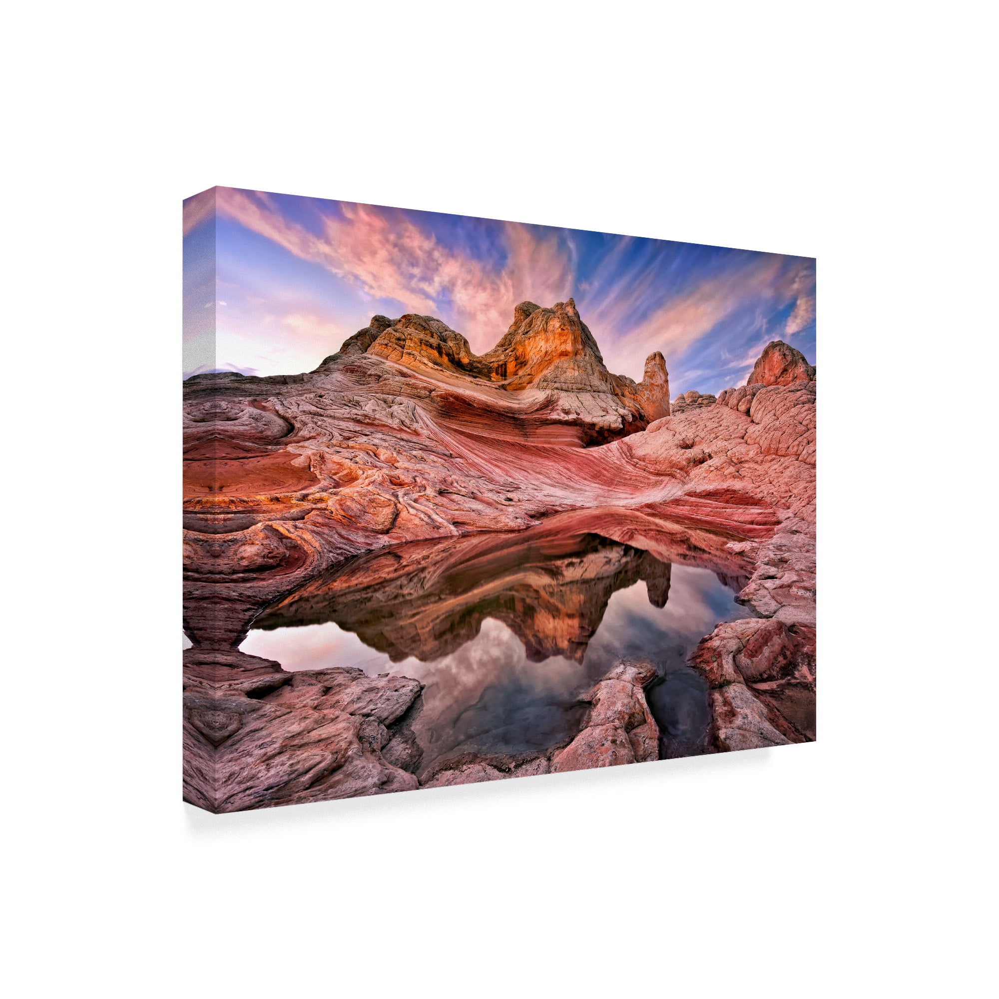 Trademark Fine Art 'Arizona Reflection I' Canvas Art by David Drost