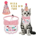 thumbnail image 1 of Decoraciones de cumpleaños para gatos, sombrero de cumpleaños, bandana, atuendo de fiesta para gatos, decoraciones de cumpleaños para gatitos, color rosa, 1 of 7