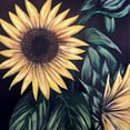thumbnail image 3 of CafePress - Sunflower Life T Shirt - Mens Comfort Colors Shirt, 3 of 5