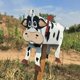 thumbnail image 3 of Mailbox Personalized Weather-proof Perfect Gift Horse Cow Chicken Shape Outside Garden Post Box Orna, 3 of 5