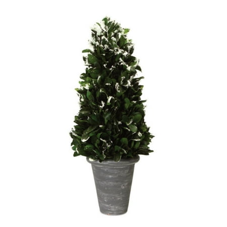 pack of 2 green frosted japanese holly cone artificial christmas tree decorations in pots 21 - Japanese Christmas Tree Decorations pack of 2 green frosted japanese holly cone artificial christmas tree decorations in pots 21 - Japanese Christmas Tree Decorations