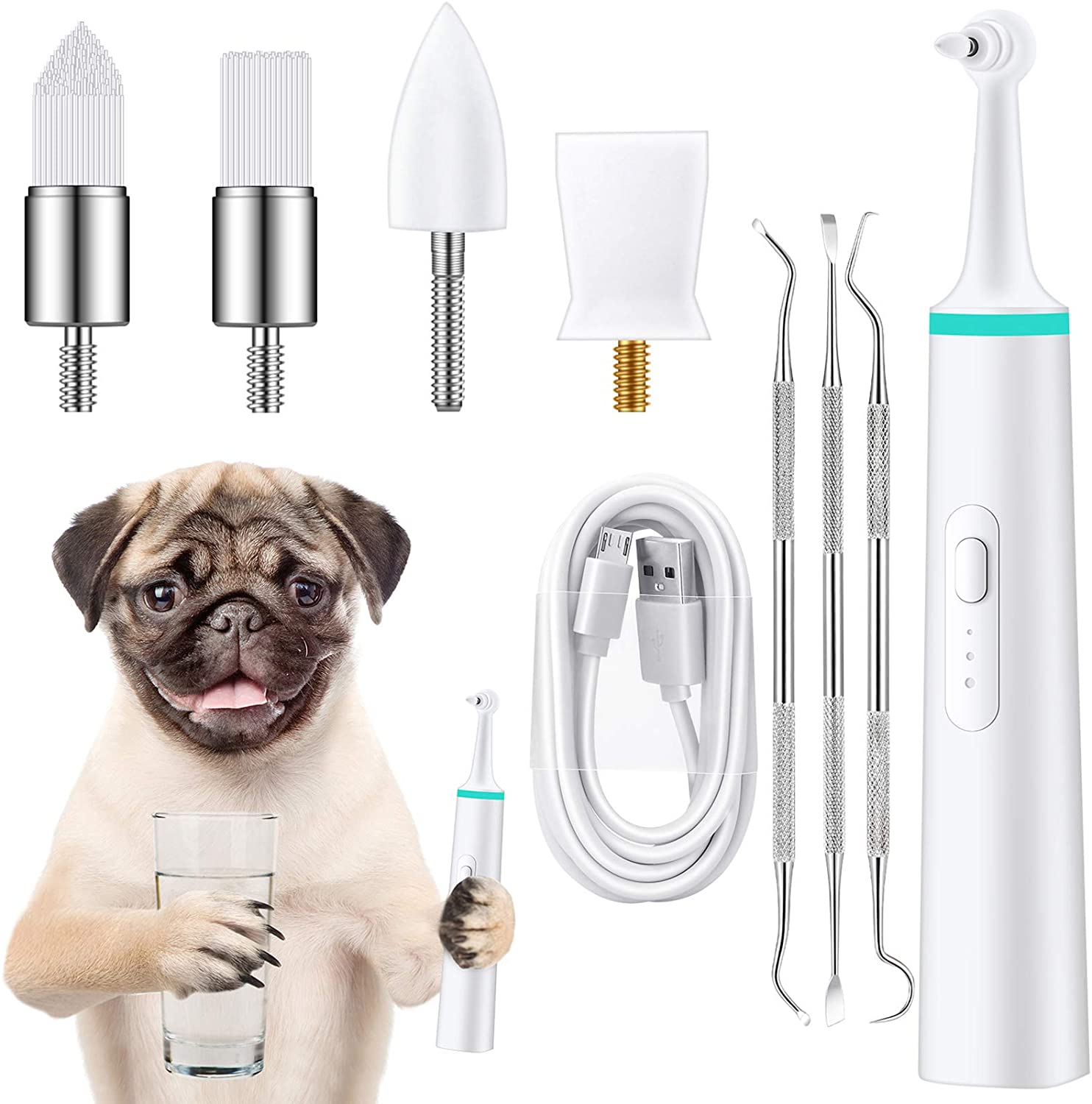 canine dental cleaning tools
