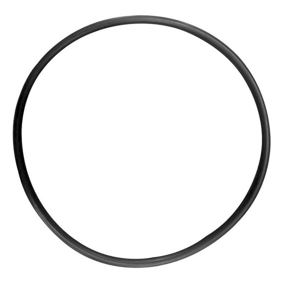 Hayward (VLX4008) Body Replacement O-Ring for VL Deries Pump || O-20