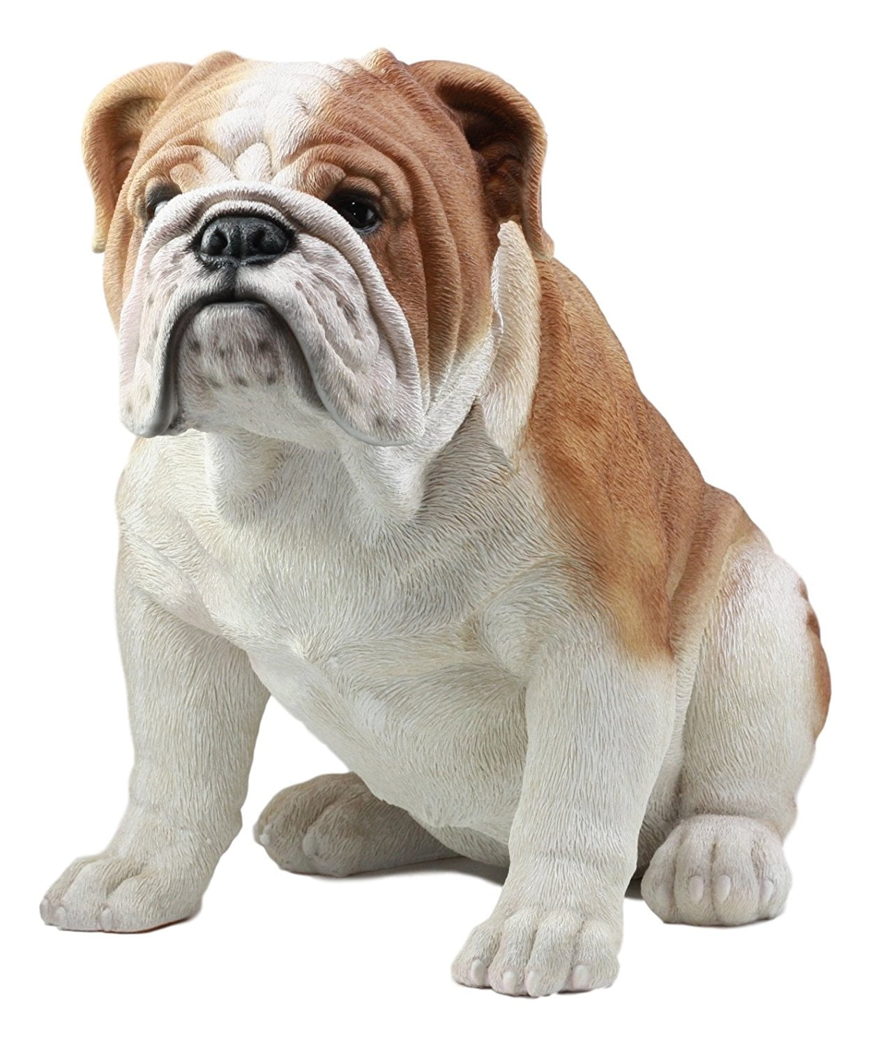 Ebros Life Sized Realistic English Bulldog Statue 14.5"Tall Fine