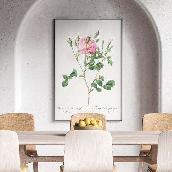 Rusty Rose with Anemone Flowers - 1817–1824 | Pierre-Joseph Redouté | Premium Fine Art Print | 18th Century Belgian | Flower Painting, Botanical illustration | Botanical | Plant Art | Nature Art
