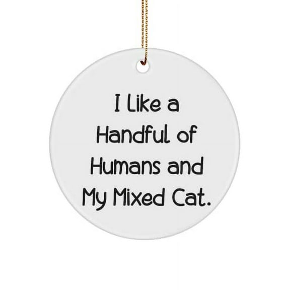 Beautiful Mixed Cat Circle Ornament, I Like a Handful of Humans and My Mixed Cat., Present for Cat Lovers, Inspire from Friends