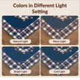 thumbnail image 7 of Design&I 3'x5' Washable Area Rug Welcome Stars Tartan Stripe Layer Door Striped Patriotic Vintage Refined for Home Office, Hallway, Low Profile & Durable Daily Traffic Ready, 7 of 7