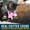 thumbnail image 2 of Our Pets OU13771 Play N Squeak When Pigs Fly Cat Toy, 2 of 5