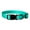 Teal, variant on Vibrant Life Polyester Adjustable Dog Collar, Teal, L