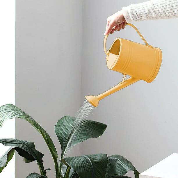 Hervidor de agua para suculentas de 2 l, con boquilla desmontable y pico largo para un riego preciso y suave, ideal para plantas de interior en maceta, flores y jardines de hierbas. Aestivo
