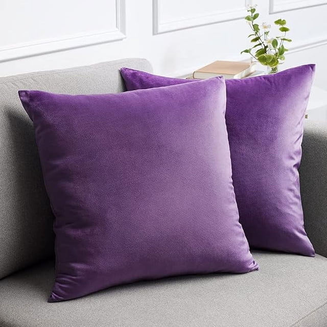 Cterwk - Juego de 2 fundas de cojín de terciopelo, suaves y decorativas, cuadradas, para sofá, cama, salón, coche, 61 x 61 cm