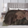 thumbnail image 4 of Andrew Garfield Blanket 3D Print Plush Lamb Blanket Bedding Decor for Living Room Bedroom Dorm Decor 50x40 inch, 4 of 8