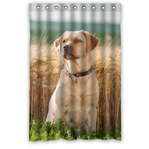 HelloDecor Labrador Retriever Shower Curtain Polyester Fabric Bathroom