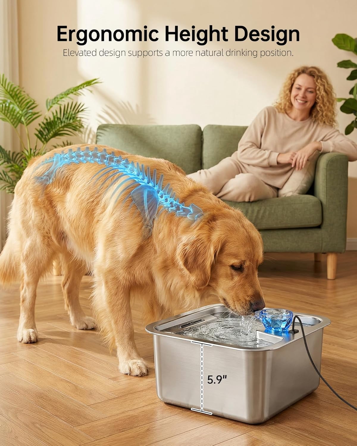 Dog Water Fountain with Silicone Mat - 3 Gallon Stainless Steel Pet Water Fountain with 6 Filters, Quiet Automatic Bowl Dispenser Drinking Waterer for Large Dogs & Multi-pet, Easy to Clean