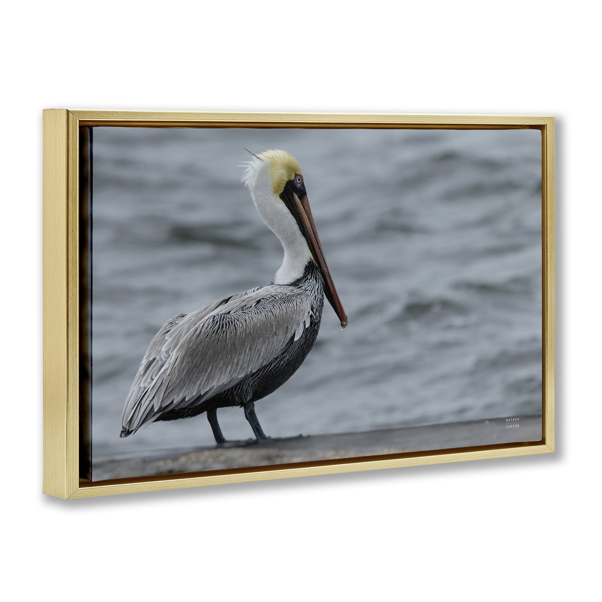 Stupell Industries Pelican Watch Photography Gold Framed Floater Canvas Wall Art, design by Nathan Larson