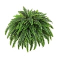 thumbnail image 3 of Helecho artificial Planta artificial Decorativa DIY Simulación Decoración Vegetación 1 por ciento, 3 of 8