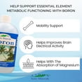 thumbnail image 4 of Eidon Liquid Boron Drops - 18 oz, 4 of 5