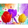 thumbnail image 2 of Grey, Jace 32x25 White Modern Wood Framed Museum Art Print Titled - Fun Tulips, 2 of 4