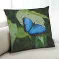 thumbnail image 1 of Ahgly Company Insects Butterfly Indoor Throw Pillow, 18 inch by 18 inch, 1 of 6