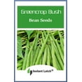 25 Greencrop Bush Bean MMF7 Seeds NonGMO Heirloom Instant Latch