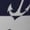 Anchors, variant on Animals Rescue Team Print Workout Shorts for Women Soft Smooth Gym Yoga Scrunch Active Tennis Workout Running Shorts