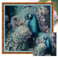 thumbnail image 1 of (11CTACC-2444__C__ 40x40) hilo algodón ecológico bordado 11CT 3 hebras impresión 40*40cm kit serie punto cruz pavo real, 1 of 9