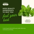 thumbnail image 6 of Swanson Spearmint Leaf (Mentha Spicata) - Full Spectrum Herbal Supplement Supporting Digestive Health & Mild Stomach Issues - (60 Capsules, 400mg Each), 6 of 8
