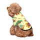 thumbnail image 5 of Balery Colorful Outer Space Sudadera con Capucha para Perros Pequeños – Ropa para Mascotas, Disfraz para Perros y Gatos, Ideal para Fiestas y Cosplay-XX-Large, 5 of 7