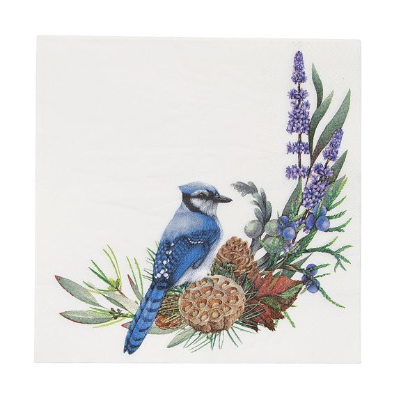 Fun Express 6 1/2" Pinecone & Bird Paper Luncheon Napkins - 16 Count