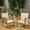 Brown, variant on Deeply-seated Outdoor Chairs (2) - Cushions 2 Wood Gray Frame With