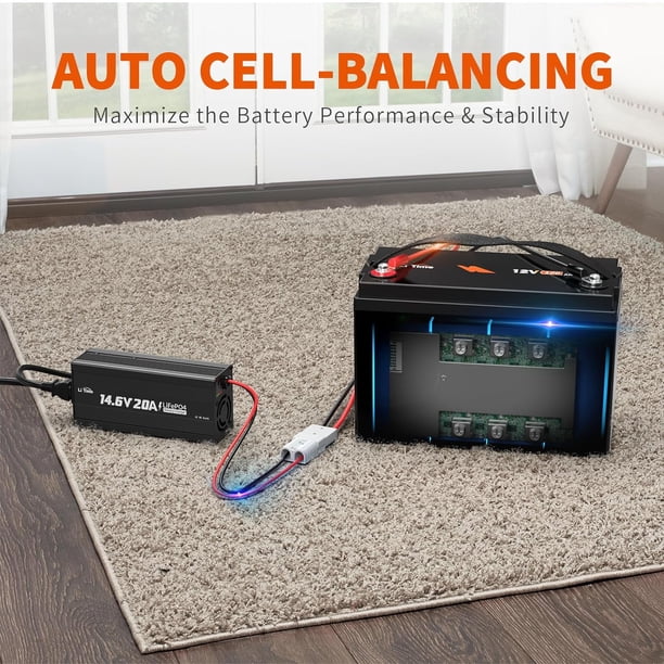 LiTime 12V 100Ah LiFePO4 Lithium Deep Cycle Battery 100A BMS