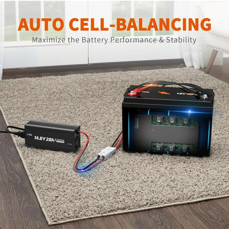 LiTime 12V 100Ah LiFePO4 Lithium Deep Cycle Battery 100A BMS