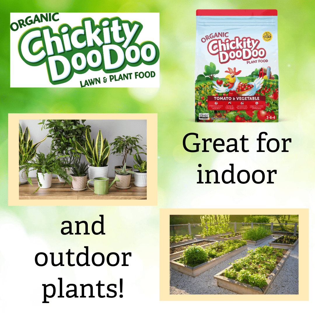 (2 pack) Chickity Doo Doo Tomato Vegetable Organic Fertilizer, 4 lbs, 360 Square feet