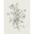 thumbnail image 2 of Schlabach, Sue 12x14 White Modern Wood Framed Museum Art Print Titled - Toile Roses VIII, 2 of 4