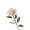 Champagne, variant on SPRING PARK 1Pc Artificial Fake Silk Flower Australian Native Protea Pincushion Flower