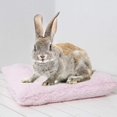 thumbnail image 4 of Guinea Pig Bed - Square Plush Warm Sleep Mat Pad for Squirrel Hedgehog Rabbit Chinchilla and Other Small Animals, 4 of 6