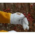 thumbnail image 6 of Gardening Gloves, Thorn Proof Kevlar/Leather for Men and Women (Xl), 6 of 8