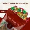 thumbnail image 3 of Tootsie Orchard Apple Caramel Lollipops Bulk 6LB Bag by Rebel Smuggling Galactic Emporium, 3 of 3