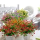 thumbnail image 4 of Flores artificiales Grunyia, eucalipto rojo, 10 paquetes, 4 of 7