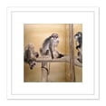 thumbnail image 1 of Seiho Monkeys Rabbits Japanese Painting 8X8 Inch Square Wooden Framed Wall Art Print Picture with Mount, 1 of 4