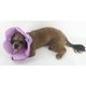 thumbnail image 3 of Colr protector para perros Cumplidos s mascotas de lesiones cómodas Púrpura - S Sunnimix Collar protector para perros, 3 of 7