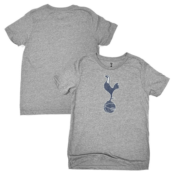 Youth 1863FC Heather Gray Tottenham Hotspur Full Color T-Shirt