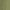 Olive Green, variant on Time and Tru Women's Ribbed Tunic Hoodie, Sizes S-XXXL