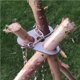 thumbnail image 3 of Billuyoard Soporte de Picnic inoxidable para acampar, olla colgante, parrilla ajustable, multiherramienta, trípode, utensilios de cocina, cadena, Almacenamiento y organización del hogar, 3 of 6
