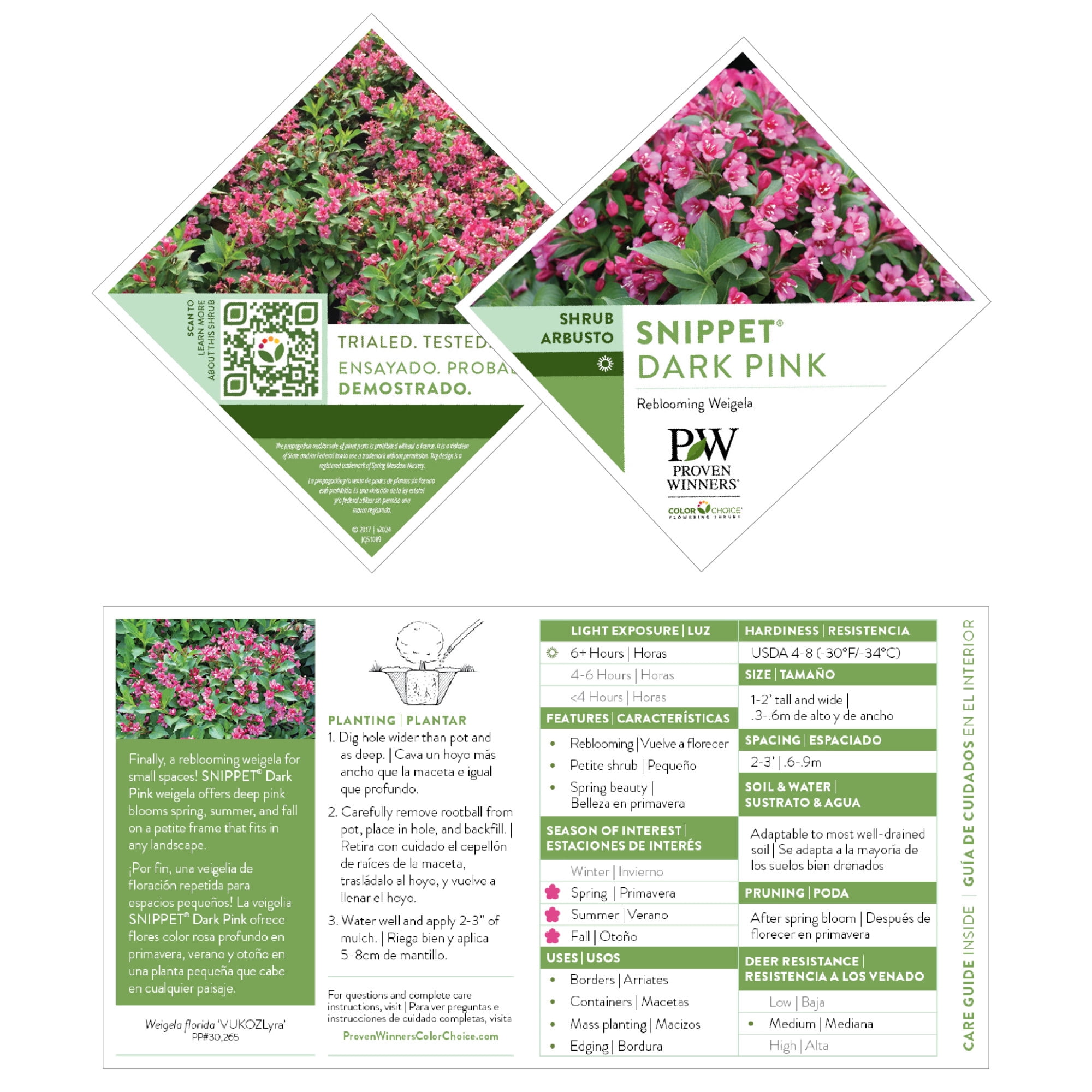 Proven Winners ColorChoice 5" Snippet Dark Pink Weigela Live Plant in 4.5" Pot (4 Count)