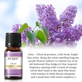 thumbnail image 3 of EUQEE 6Pcs Fragrance Oils Gift Set for Diffuser, Floral Essential Oils (10Ml), 3 of 12