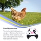 thumbnail image 5 of Greeniant Casco de seguridad para mascotas, sombreros de concha divertidos, sombreros duros, accesorios para gallinas, cascos de juguete, cascos Type1 NO1, 5 of 6