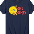 thumbnail image 3 of Sesame Street - Big Bird - Toddler and Youth Short Sleeve Graphic T-Shirt, 3 of 5